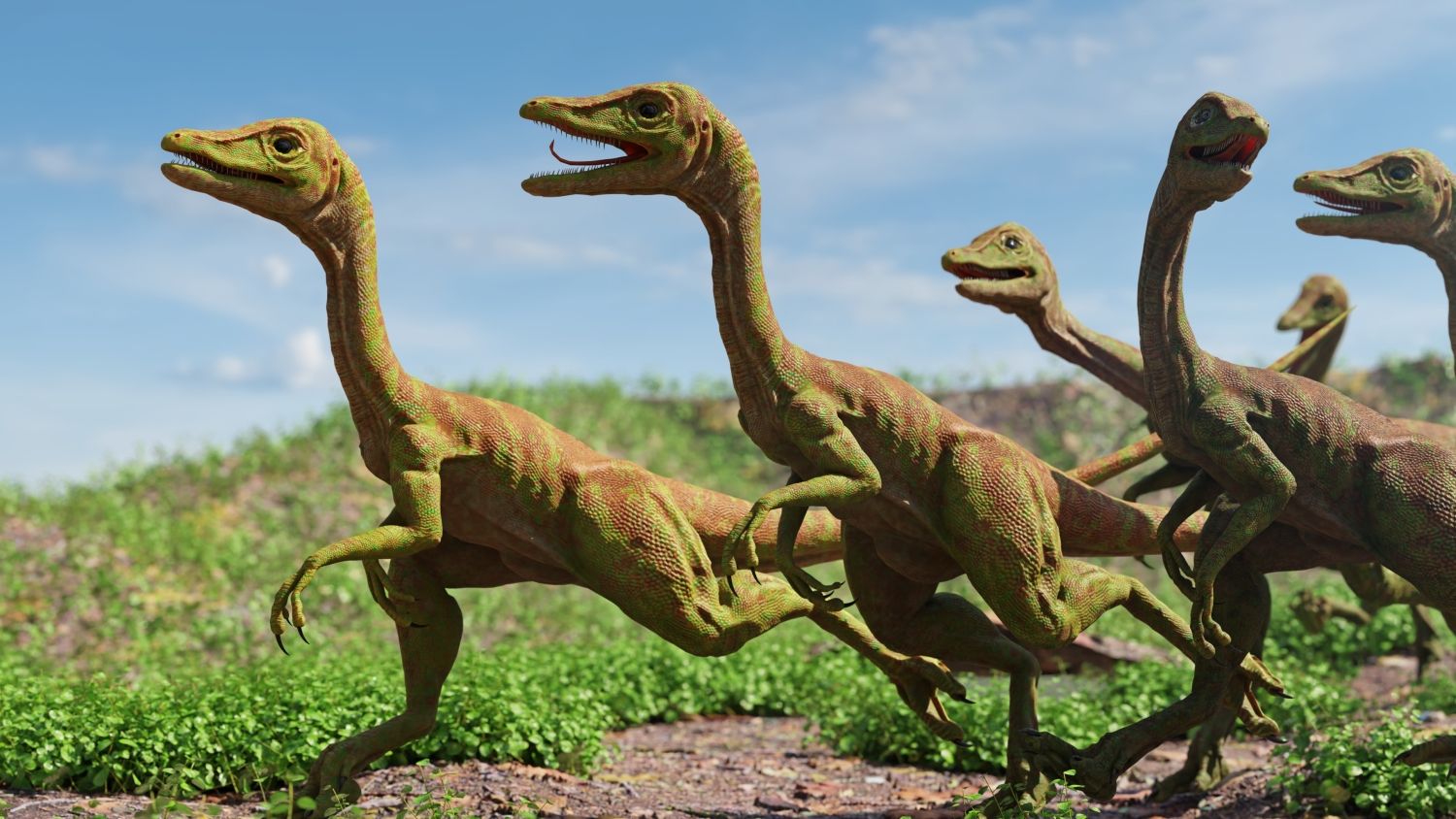 Skupina Compsognathus longipes, malých a rychlých dravců, běží krajinou jury.